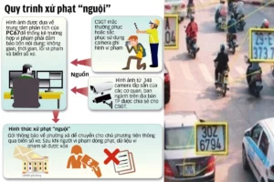 Gộp hạng giấy phép lái xe và những thay đổi liên quan